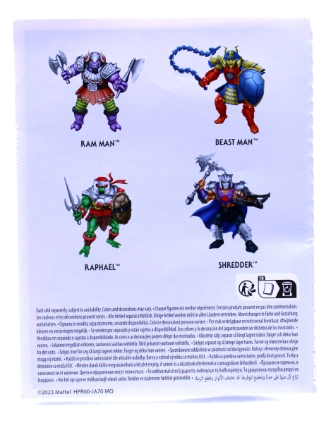 Turtles of Grayskull Mini-Comic (Figurenbeilage) zur Wave 2 von Mattel